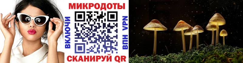 Псилоцибиновые грибы Magic Shrooms  Шумерля 